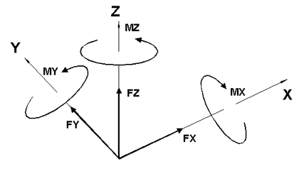 Figura 1.1 - Carichi nei nodi 